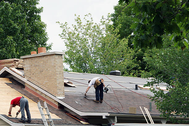 Best Storm Damage Roof Repair  in Johnsonville, SC