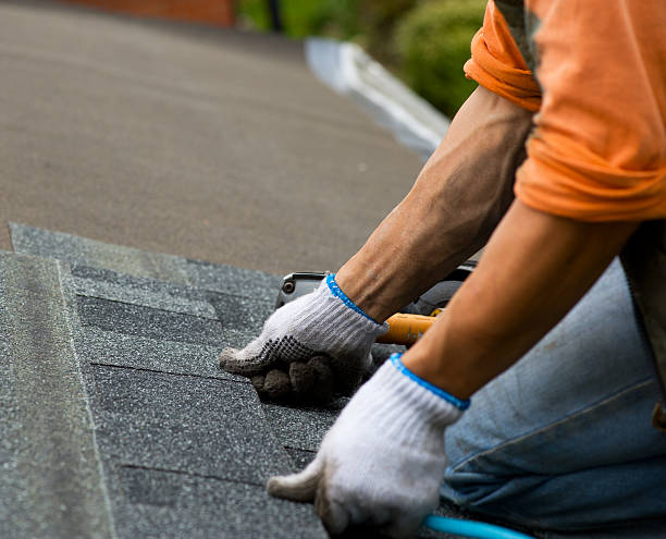 Best Roof Gutter Cleaning  in Johnsonville, SC